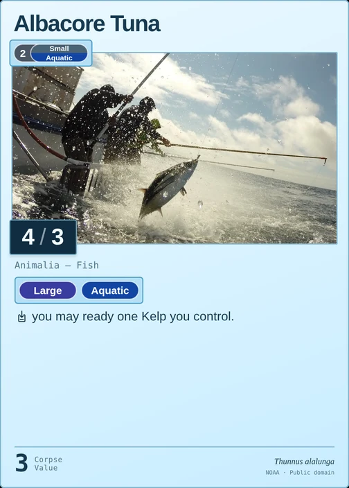 Albacore Tuna printed card