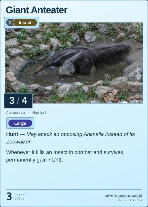 Giant Anteater printed card