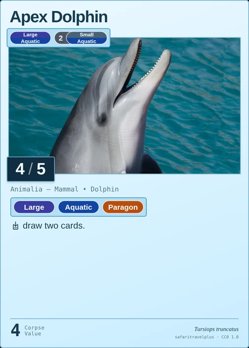 Apex Dolphin printed card