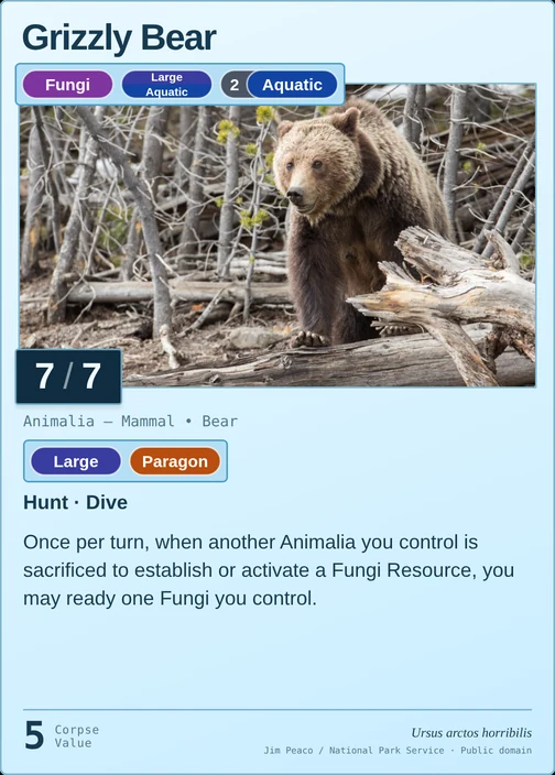 Grizzly Bear printed card