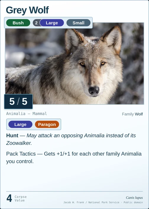Grey Wolf printed card