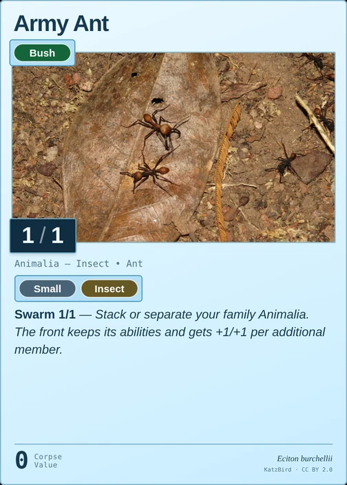 Army Ant printed card