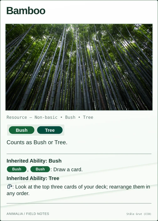 Bamboo printed card