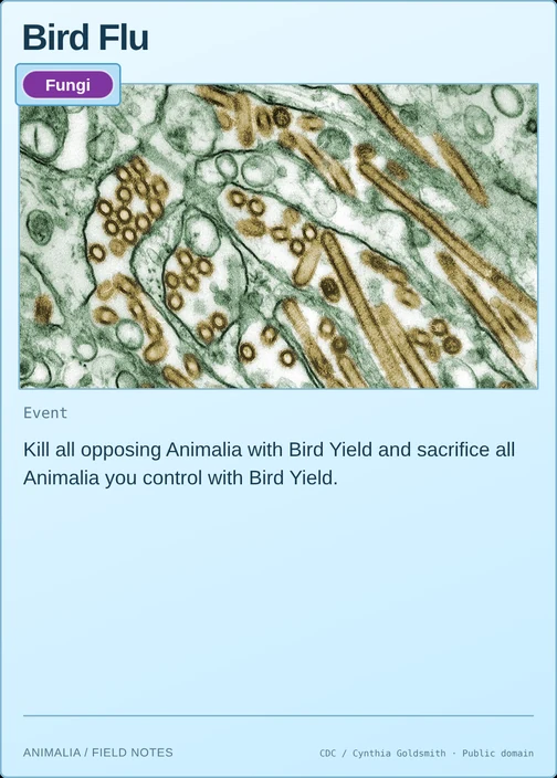 Bird Flu printed card