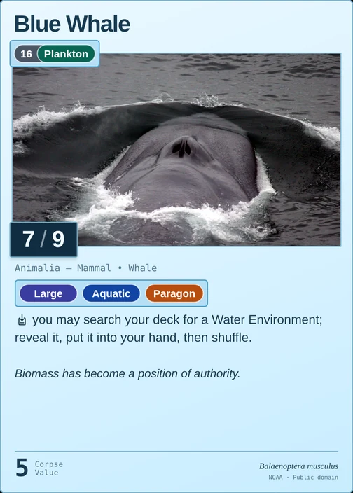 Blue Whale printed card
