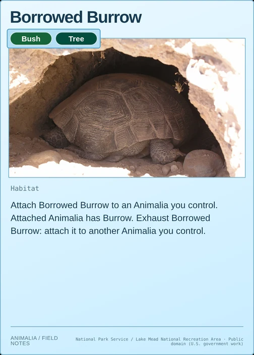 Borrowed Burrow printed card