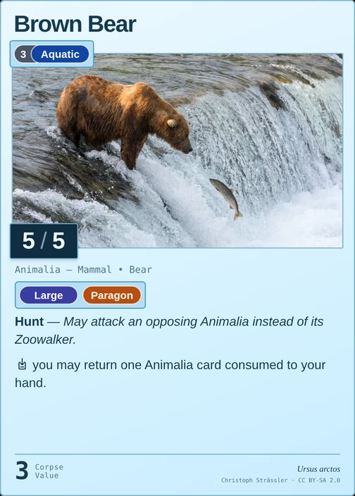 Brown Bear printed card