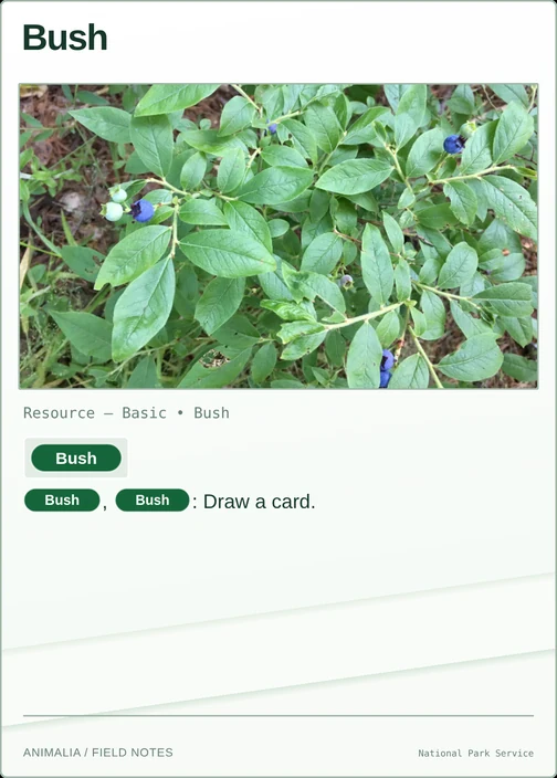 Bush printed card