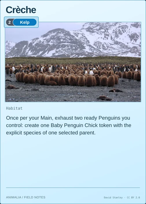 Crèche printed card