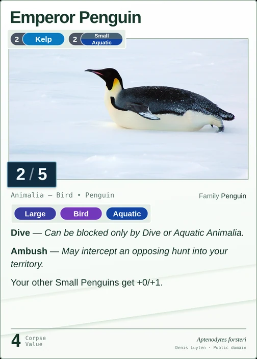 Emperor Penguin printed card