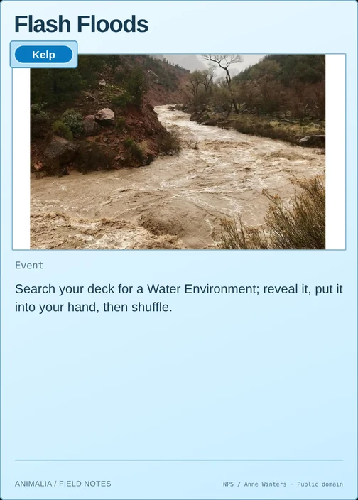 Flash Floods printed card