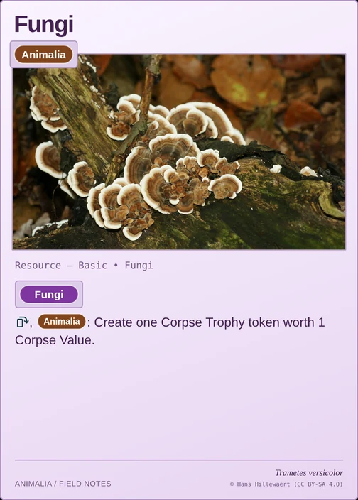Fungi printed card