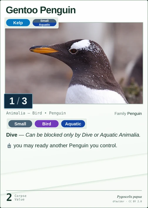 Gentoo Penguin printed card