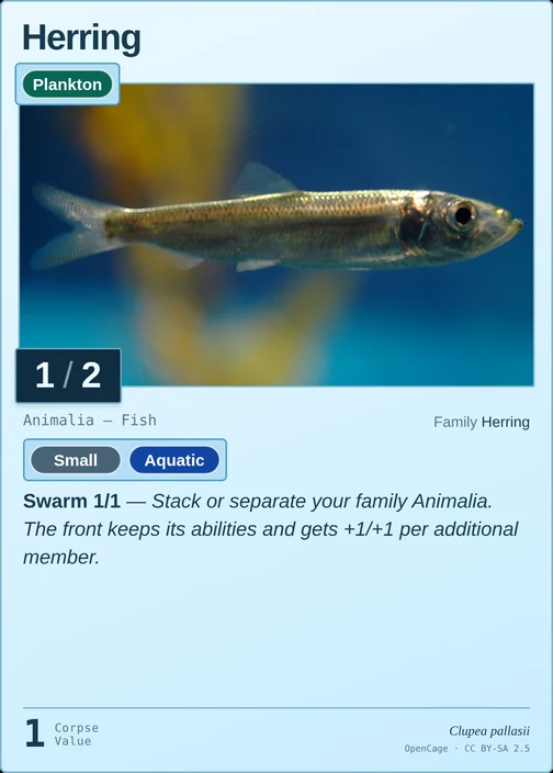 Herring printed card