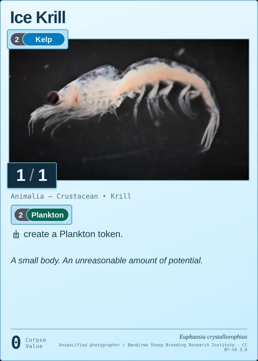 Ice Krill printed card