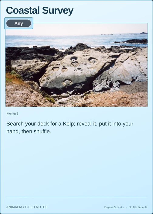 Coastal Survey printed card