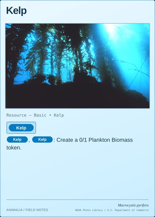 Kelp printed card
