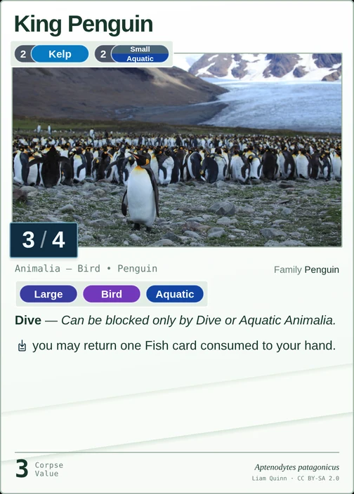 King Penguin printed card