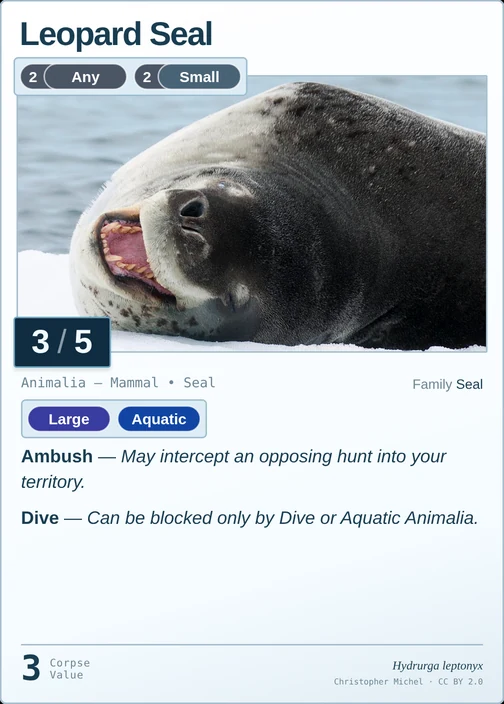 Leopard Seal printed card