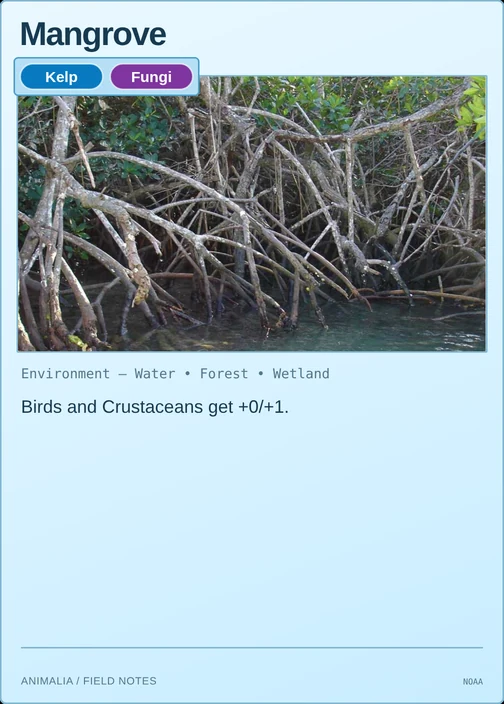 Mangrove printed card