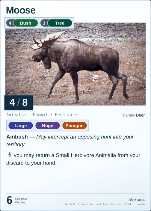 Moose printed card
