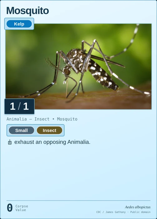 Mosquito printed card