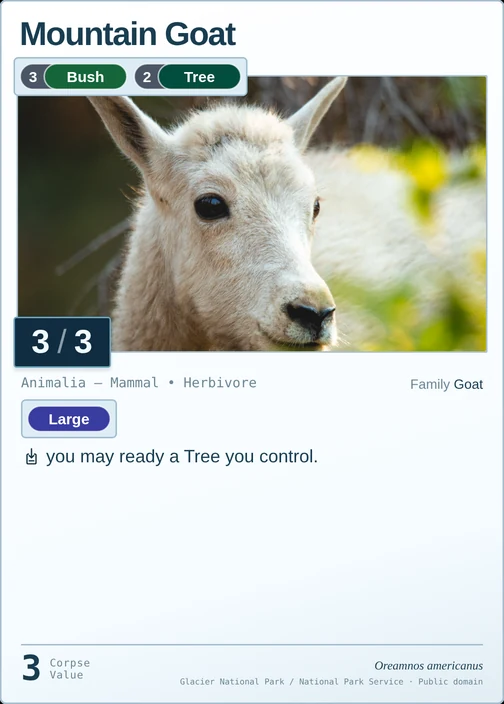 Mountain Goat printed card