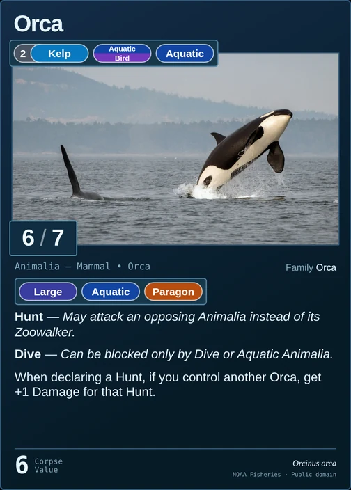 Orca printed card
