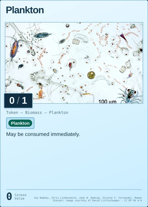 Plankton · Biomass printed card