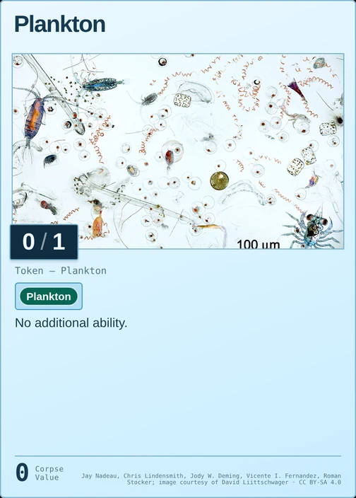 Plankton printed card