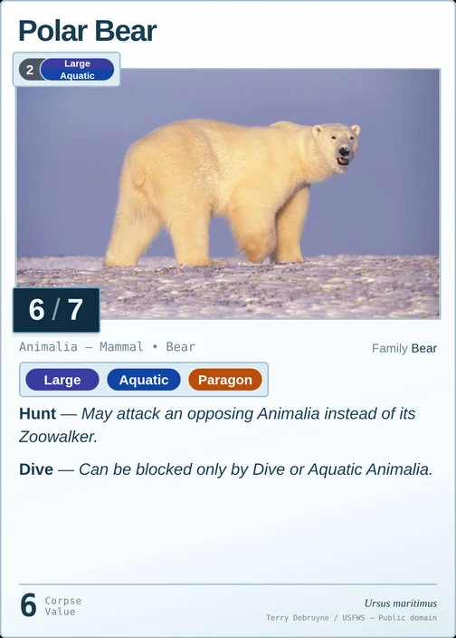 Polar Bear printed card