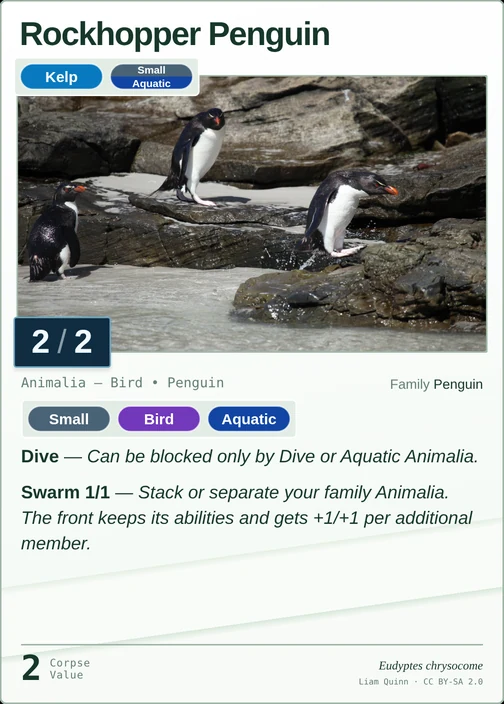 Rockhopper Penguin printed card