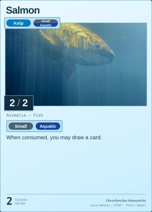 Salmon printed card