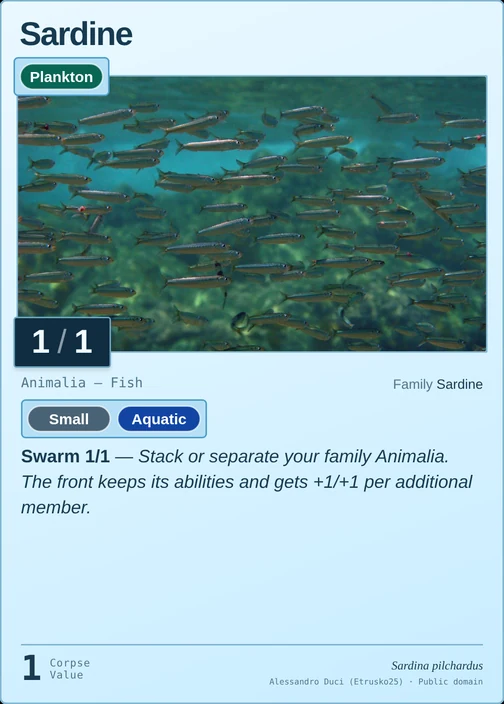 Sardine printed card
