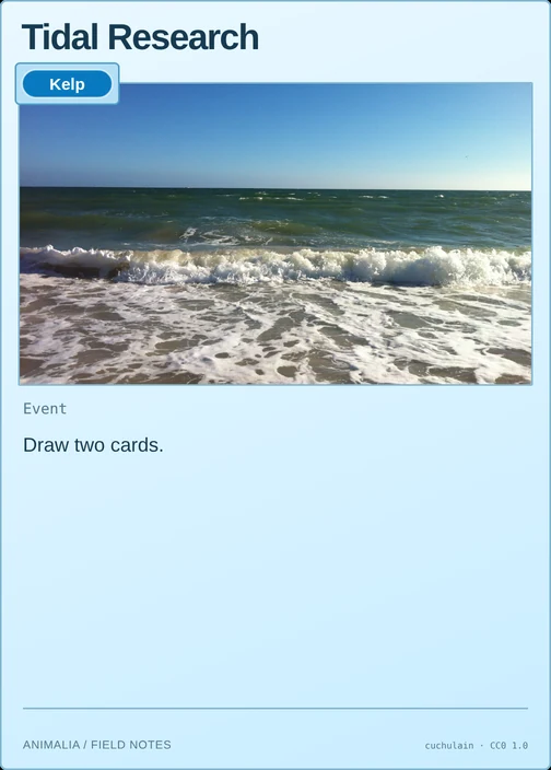Tidal Research printed card