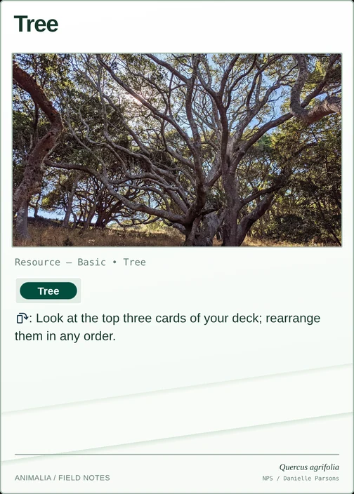 Tree printed card