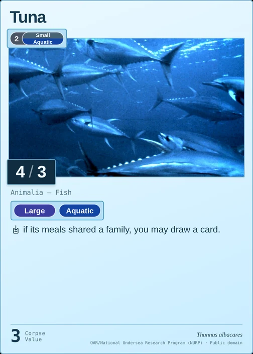 Tuna printed card